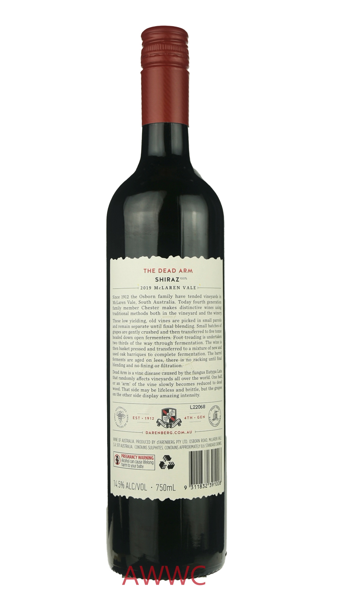 黛倫堡枯藤 設拉子 2019