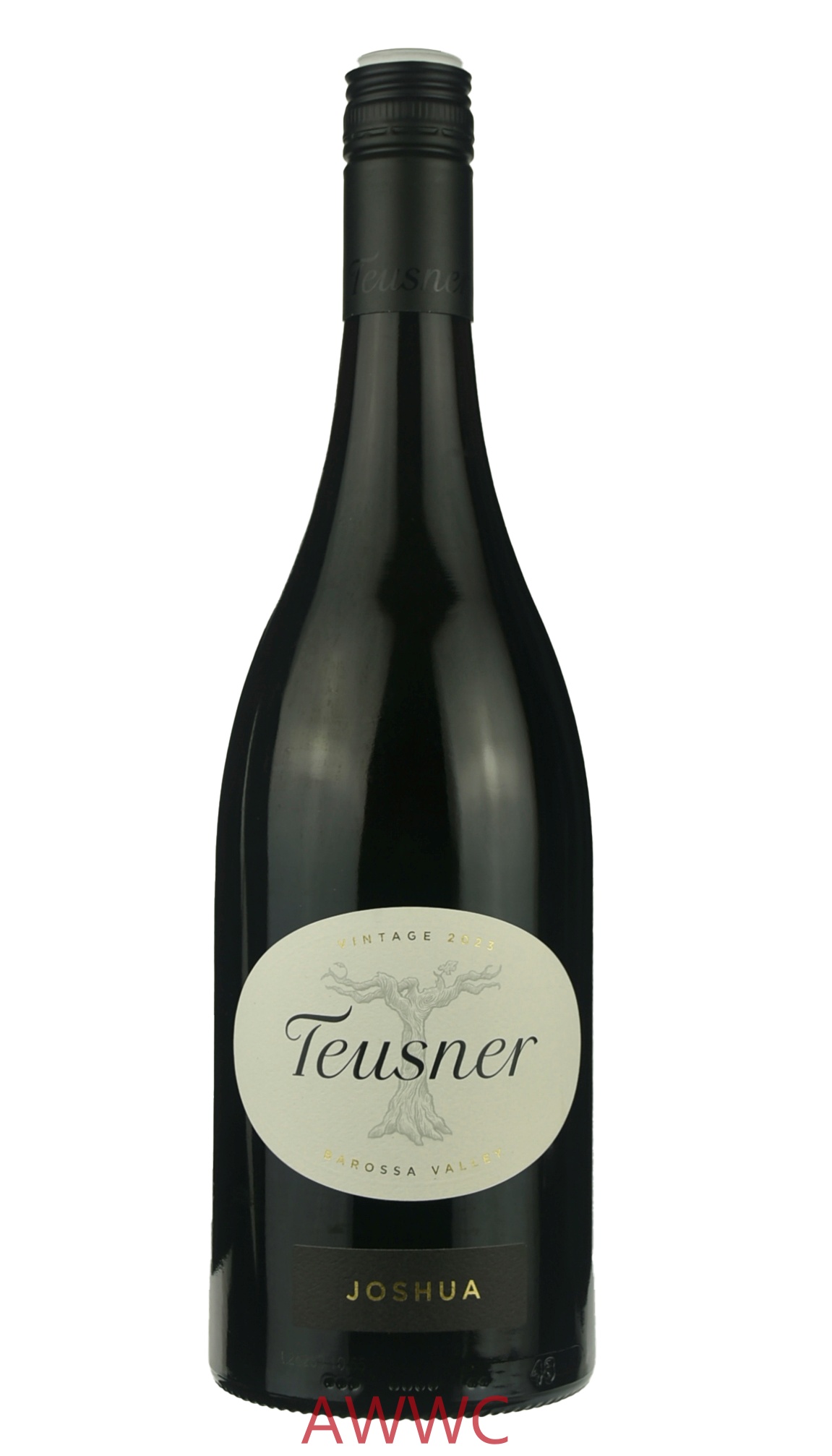 托斯納 鍾少 設拉子2022/23